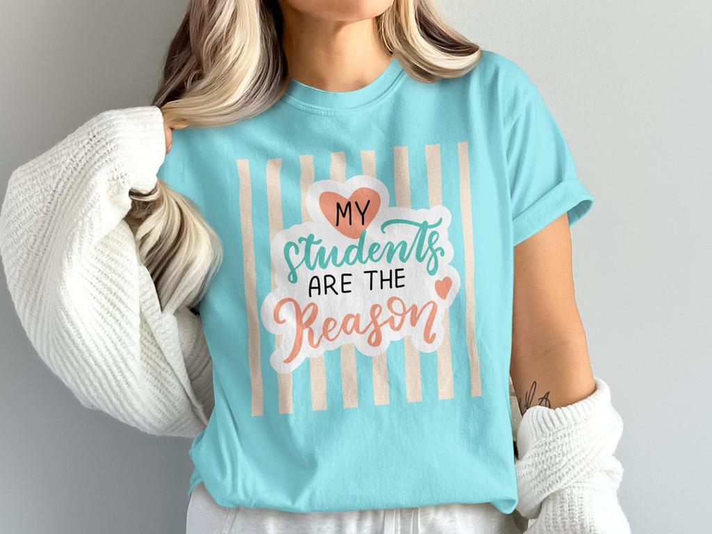 My Students Are The Reason Teacher T-Shirt, Educator Appreciation Gift, School Staff Tee