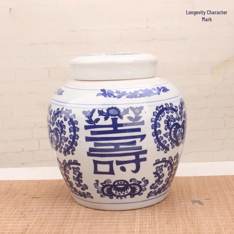 Ru Han Blue and White Porcelain Longevity Storage Jar