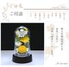 Art for Seasons Mini Mum Mini Dome Yellow Preserved Flowers