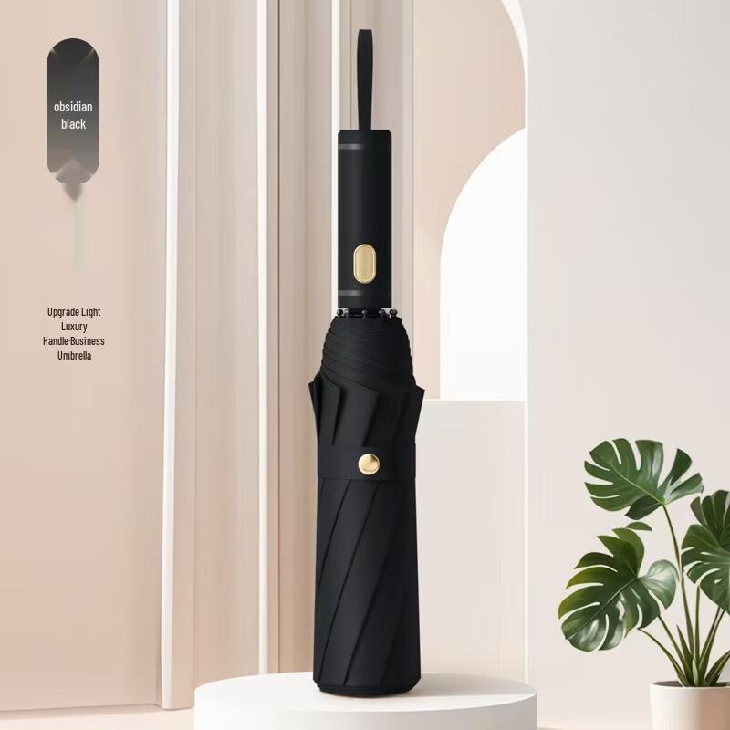 Automatic 10-Rib Folding Umbrella