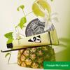 Rock Zoo Rock Jungle A Fragrant Moisturizing Gift Set