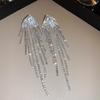 Luxury Zircon Tassel Silver Earrings – High-End European & American Fashion for Women