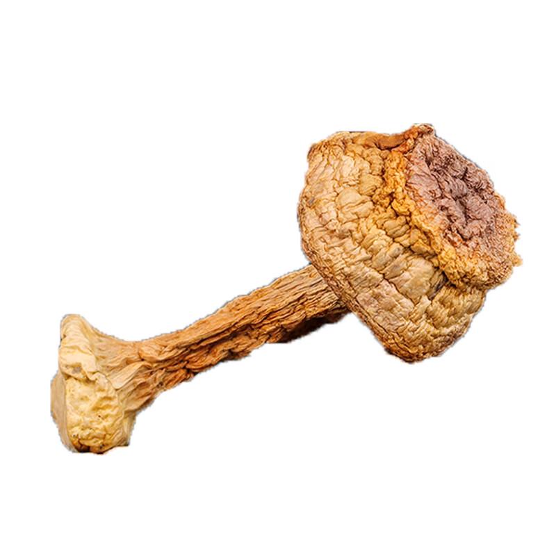 Chuanzhen Dried Agaricus Blazei Mushrooms