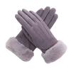 Gloves Female Winter Velvet Thickened Warm Student Korean Version Cute Cycling Touch Screen Cycling Motorcycle Suede Gloves
