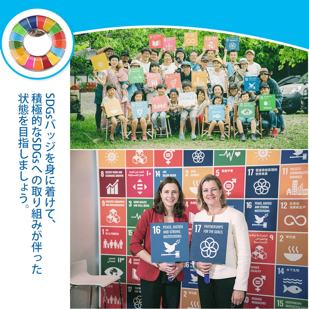 Set of 20 SDGs UN Headquarters Latest Pin Collar Lacquer Painting Geri Latest Comes with 40 Unisex Badges, Specification, Badge, Badge, + Craft,