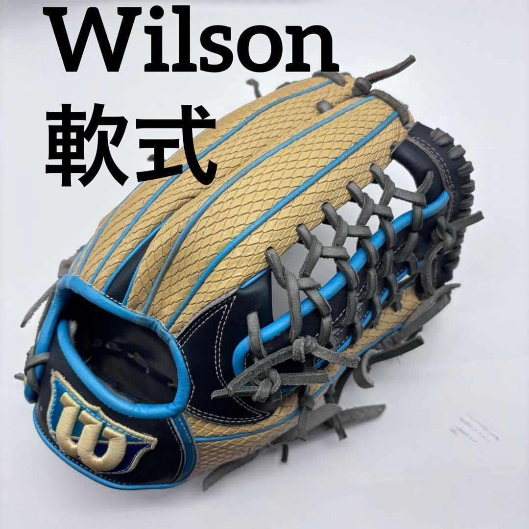 Used Wilson Wilson Softball Gloves Wannabe Hero Dual Snake Skin