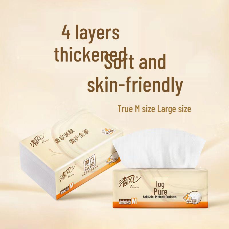 Gentle Breeze 4-Ply Facial Tissues, 100 Sheets/Pack, 12-Pack, M Size