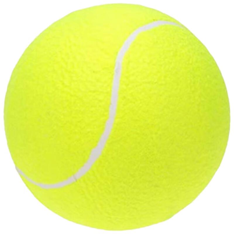WEZHO 9.5-inch Large Inflatable Pet Tennis Ball