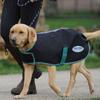 Weatherbeeta Green-Tec Plus leichter Hundemantel