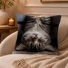 cat Cushion Cover Anti-dustmite Pillowcase Invisible zipper silky short plush Sofa cushion cover