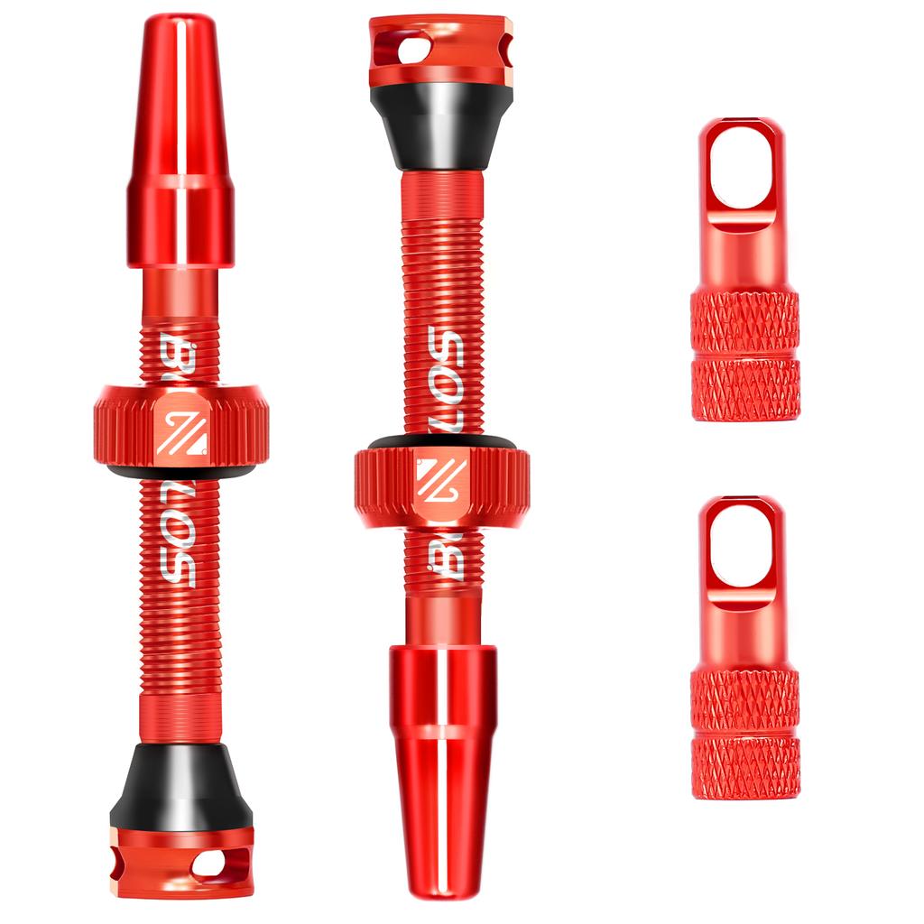 BUCKLOS Bicycle Tubeless Valve 40/44/55/60/80/100MM Bike Valve Cap Bicycle Valves Adapter F/V To A/V Road Bike Presta Valves2
