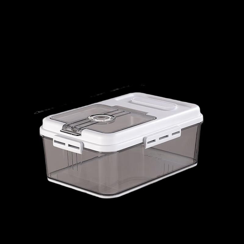 Haushalts-Reisaufbewahrungsbehälter mit Klappdeckel