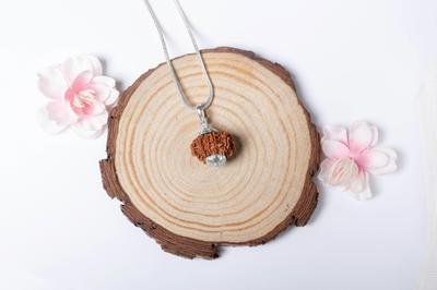Doğal 10 Mukhi Rudraksha 925 Gümüş Kolye – Nepal Orijinli | Manevi Güç, Kalkanlama ve İlahi Nimetler için Boncuk | Organik ve Laboratuvar Sertifikalı