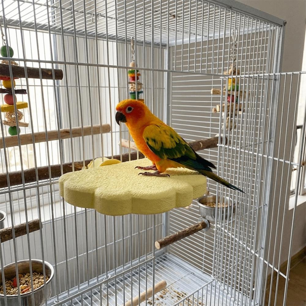 Wear Resistant Bird Resting Platform Cloud Shape Beak Grinding Stand Hopping Stand  Cockatiel