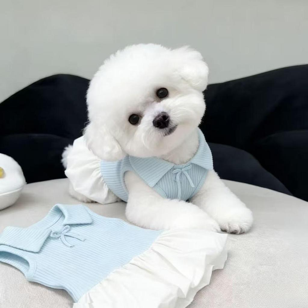 Summer Polo Dress for Small Dogs - Thin Style for Bichon, Maltese, Yorkshire