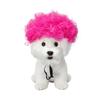 Pet Wig for Small Dogs and Cats Halloween Costume Accessory