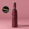 Hongye Fully Automatic 10-Rib LED Flashlight Sun/Rain Umbrella