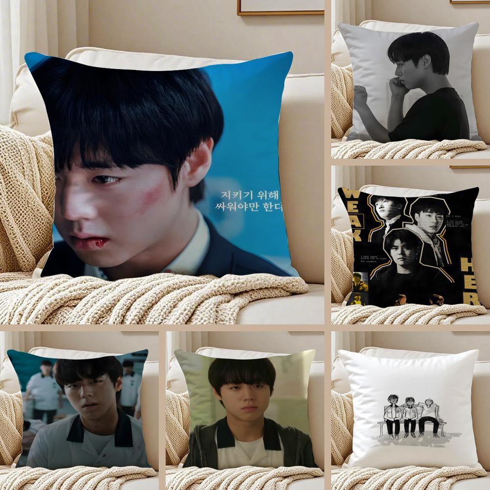 Webtoon Gritty 1 WWeak HHero Class 1 Cushion Cover Pillowcase Antidustmite living Room Sofa Decor Cushion Room