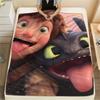 How To Train Your Dragon Hiccup & Toothless Flannel Blanket, High Quality Comfortable for All Seasons, Home Decor, Warmth and Comfort for Gifts.