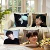 Pillowcases Cushion Covers Living Room Sofas Home Decor Gifts Singer B-AEK Cool H-hYUN Korea