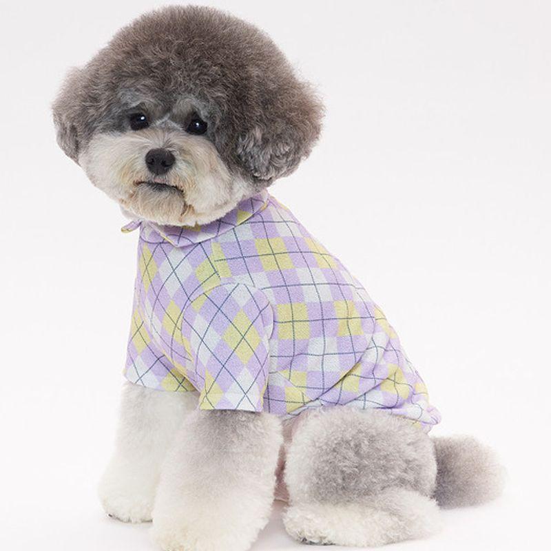 SALTYHEARTY Standard Check Collar Top PURPLE