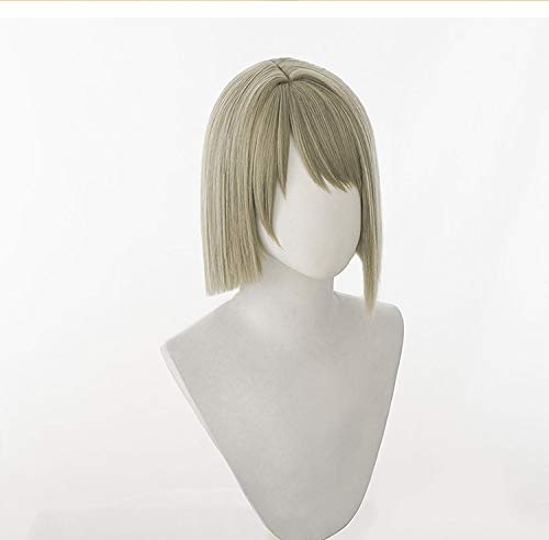 Kasumi Nakasu Cosplay Wig with Net, Brown Gray, Heat-Resistant