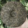 357g Vysoce kvalitní čaj Zhonghong Yin Ma Hei Pu-erh z prastarých stromů