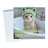 Memo Planner 2026 Cat Calendar One Month To View 2026 Wall Calendar Cute Monthly & Daily Planner