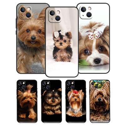 Etui do telefonów – Etui bumper