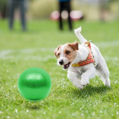 9.8 Inch Herding Ball for Dogs Pet Inflatable Ball Toy Interactive Play Exercise Ball Promotes Physical Health for Small Medium Pets