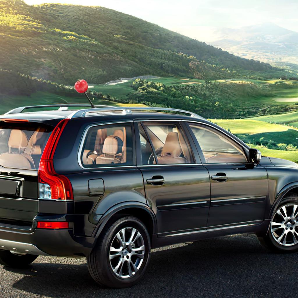 GLEAVI Apple Shape Car Antenna Topper Cute Decoration Fruit Ball Car Roof Universal Car Antenna Topper for Most Vehicles