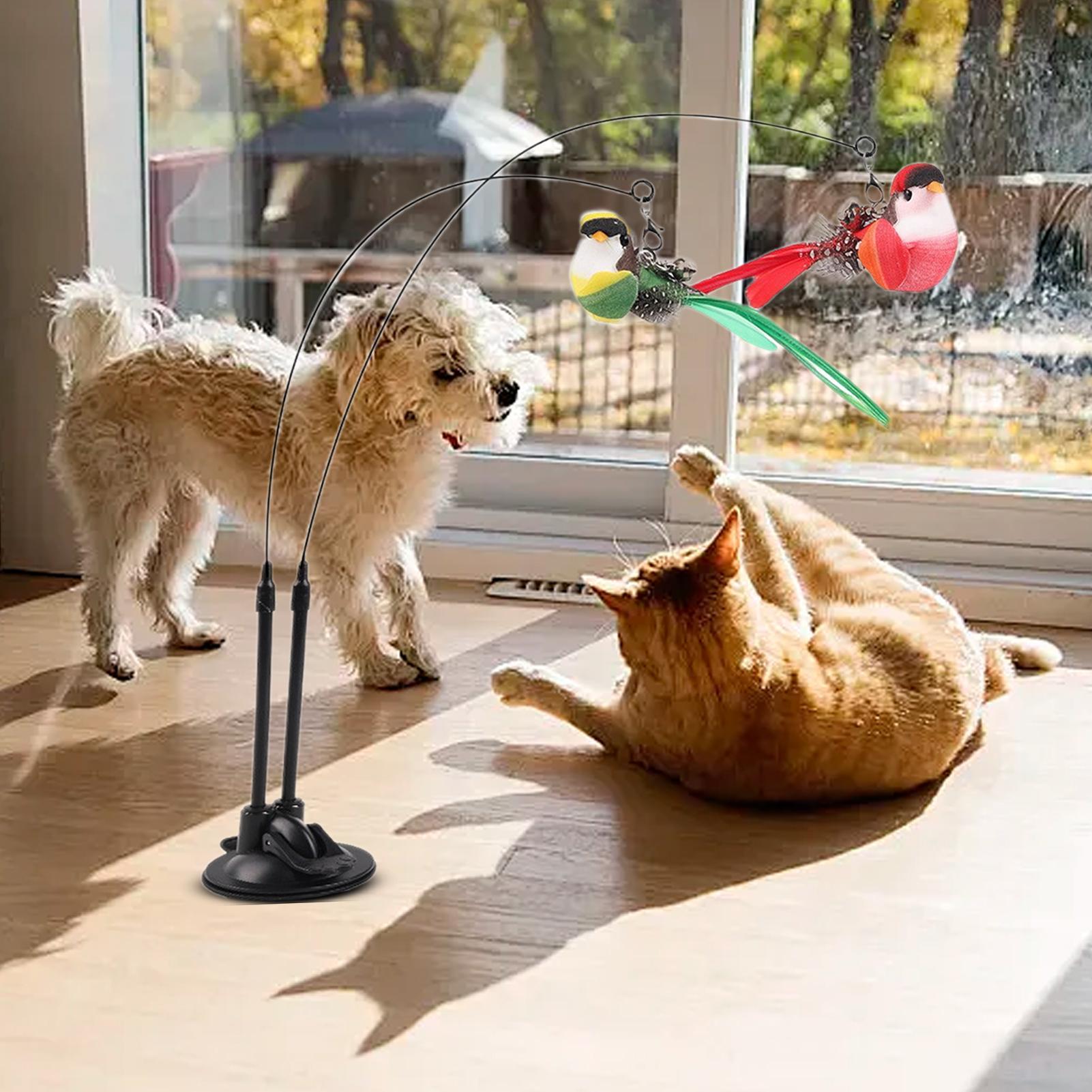 

Дразнилка Палочка Игрушка для кошки Палочка Игрушка для кошки 2 в 1 Присоска Съемная Интерактивная Двойная Имитация Чирикающей Птицы Для Прорезывания Зубов Котенку CHINA