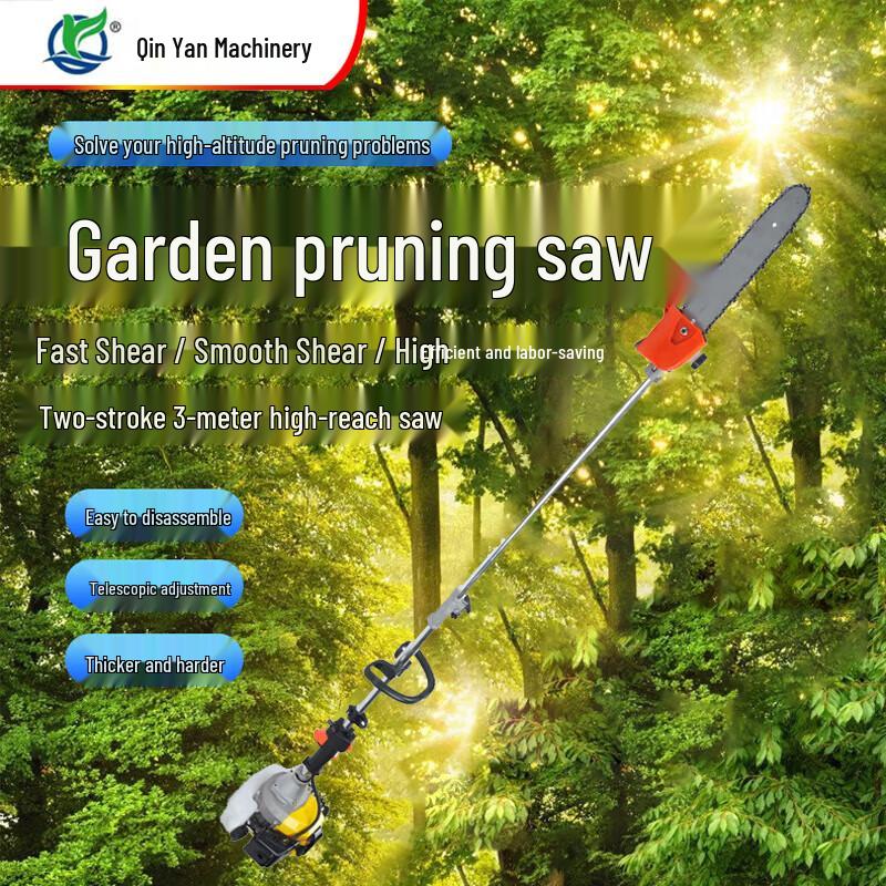 Qinyan Gasoline Pole Pruner CN plug (adapter included)