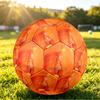 Pallone da Calcio Taglia 5 Taylor Swift, Testo Nome Personalizzato Pallone da Calcio Personalizzato Regalo Allenamento Sportivo