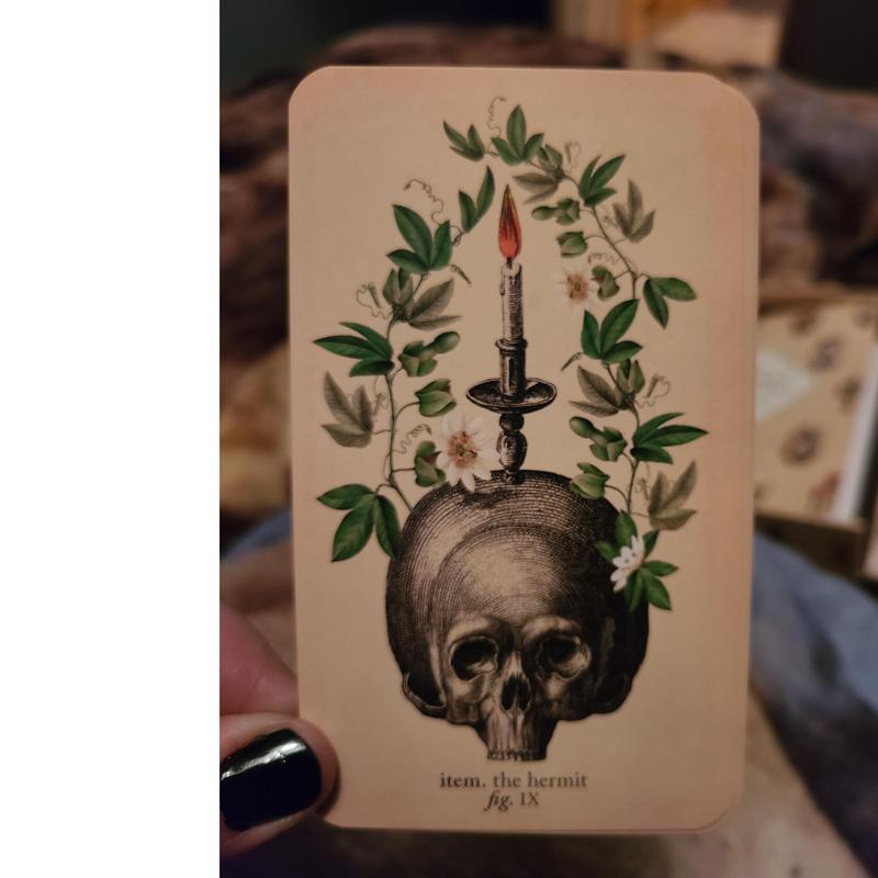 The Antique Anatomy Tarots 78-Card Deck Full English Oracle Cards Divination Fate Family Party Board Game