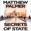 Secrets of State by Matthew Palmer Paperback Book 9781035908875