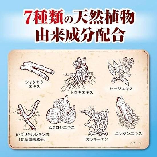 Shoyou Breath Refreshing Type Medicinal Toothpaste Prevents Periodontal Disease Japanese Herbal Flavor Persistent Bad 100g Quasi-Drug