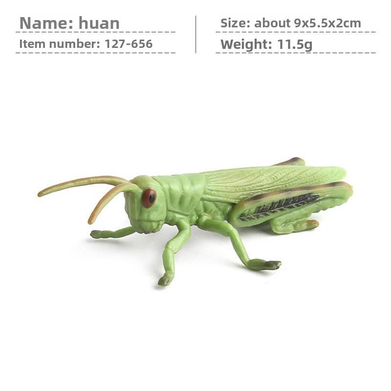 

Spider Butterfly Pvc Insect Model Set With Realistic Animal Replicas For Educational Play And Collection Grasshopper