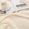 Blanket Blanket Coral Fleece Blanket Winter Solid Color Flannel Pineapple Plaid Blanket Cross-border Sofa Blanket Car Lunch Break Blanket