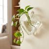 Irregular Shape Hydroponic Vase Wall Mounted Plant Container Glass Vase  Living Room