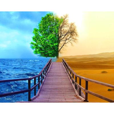 DIY 5D Volldiamantgemälde Kreuzstich Meer und Wüstenbaum Diamantstickerei Handarbeiten