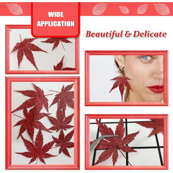 Natural Real Dried Maple Leaves for Resin, 42PCS Red Pressed Nature Dry Maple Leaf for Resin Mold Art DIY Crafts Jewelry Card Scrapbooking Making