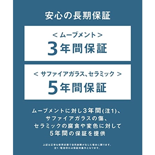 BERING Men's Analog Solar Watch, Collection Model 14639-307, Stainless Steel Strap & Sapphire Crystal, Officially Imported, 3-Year Internal Warranty