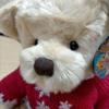 [USED] Excellent condition Harrods Teddy Bear Christmas Year Bear 2008 Limited Edition