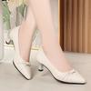 Pointed high heels women's new spring and autumn thick heel middle heel single shoes women's light mouth beige work shoes