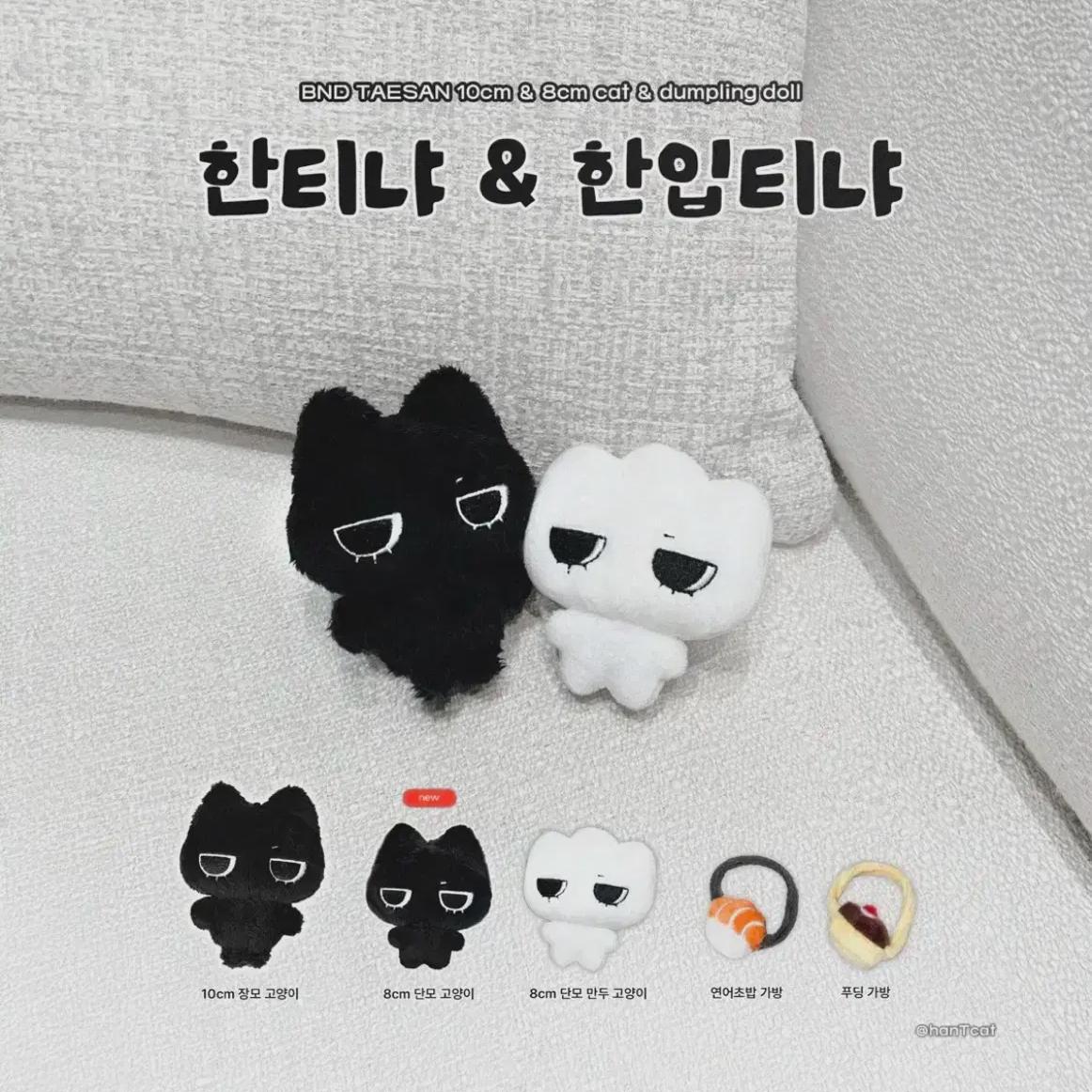 

Is Boynextdoor A Taisan 10cm Doll