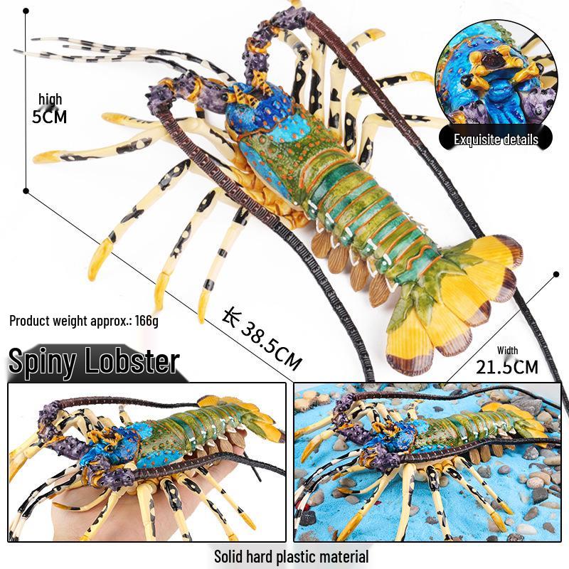 Australian Lobster & Crab Marine Animal Model - Children s Educational Toy Gift