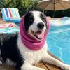 Copricapo Rinfrescante per Cani in Rete Elastica Anti Insetti Zanzare Copri Orecchie per Cani Sessioni di Toelettatura