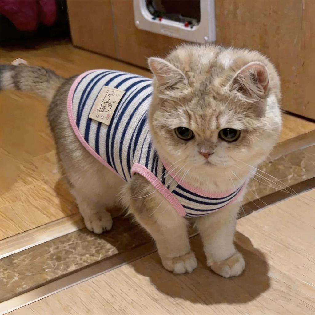 Striped Dog Vest with D-ring, Cute Embroidery Sleeveless Pet Shirt for Small Dogs