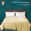 SILKUEEN 100% Mulberry Silk Thin Quilt